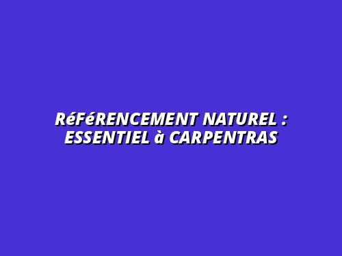 Référencement naturel : essentiel à Carpentras